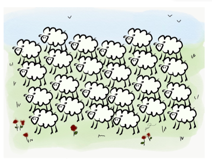Moutons en prairie