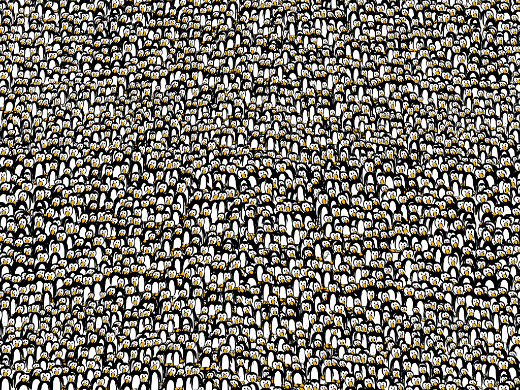 Pingouins du monde entier, unissez-vous