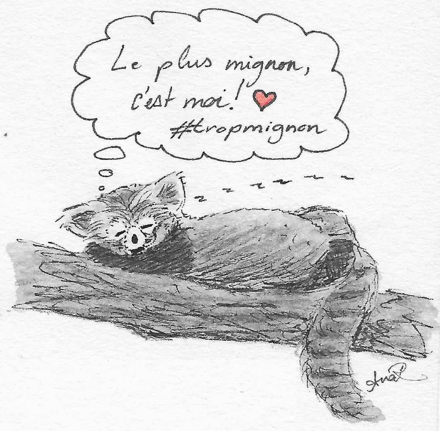 Pingouinformation 3 : Big Penguin en lice pour le second tour 6